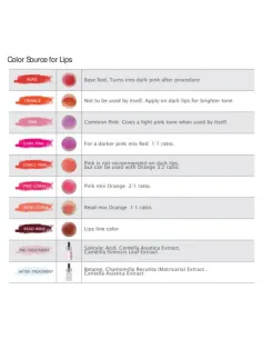 Kissum Tint for Lips 2