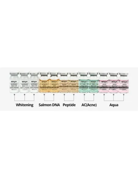 BB Glow Stayve Booster Starter Kit